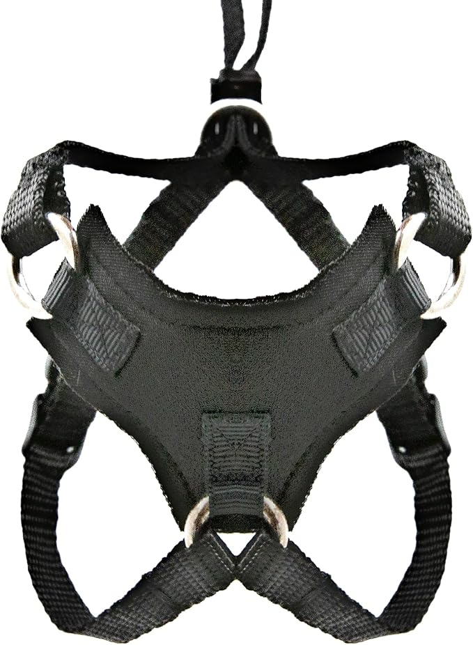 Houdini™ Escape Proof Cat Harness and Leash Set by OutdoorBengal for Walking Cats and Kittens (Soft Mesh, Medium Cat)