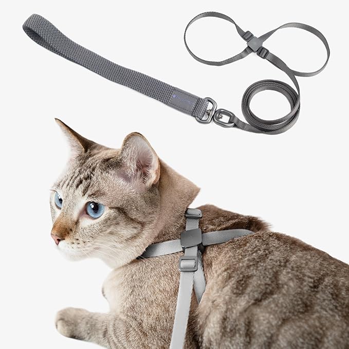 Cat Harness and Leash Set - U.S. IDA Bronze Awarding Design, Escape Proof and Anti-chocking, for Walking and tranning, Lighweight for Kitten and Small Large cat and Puppy(Space Grey)