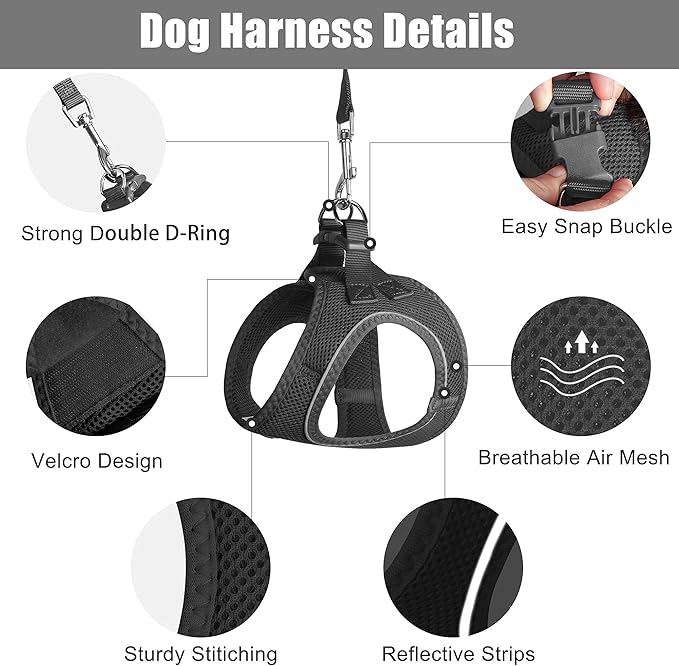 PetiFine Extra Small Step in Dog Harness and Leash Set, Cat Harness and Leash Escape Proof, All Weather Mesh Reflective, Step-in Air Vest Harnesses for Puppy(XXS, Black)