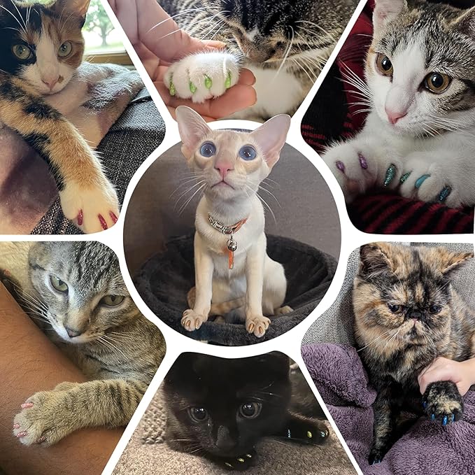 16x Glitter Colors / 160 pcs | Cat Nail Caps | Cat Claw Covers with Adhesives and Applicators (XS)