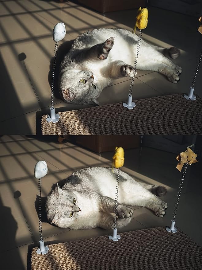 3 Pack Cat Teaser Wands Plug on Cardboard Cat Scratcher