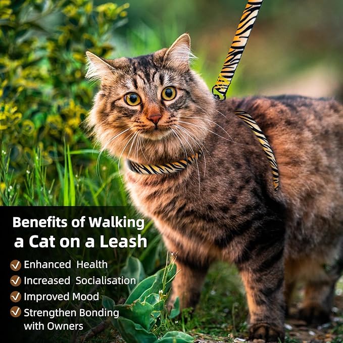 Cat Harness and Leash Escape Proof, Adjustable Soft Cat Collar and Leash for Outdoor Walking & Travel with Breathable Nylon, 4.9ft Kitten Leash - Lightweight & Safe Medium Cat Harness [S]