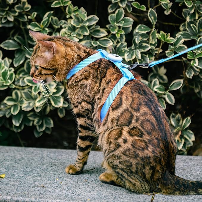 Cat Harness and Leash Set Escape Proof for Walking, Adjustable Cute Kitten Harness Leash with Airtag Holder for Small Large Cats, Lightweight Soft Walking Travel Harness (Blue)