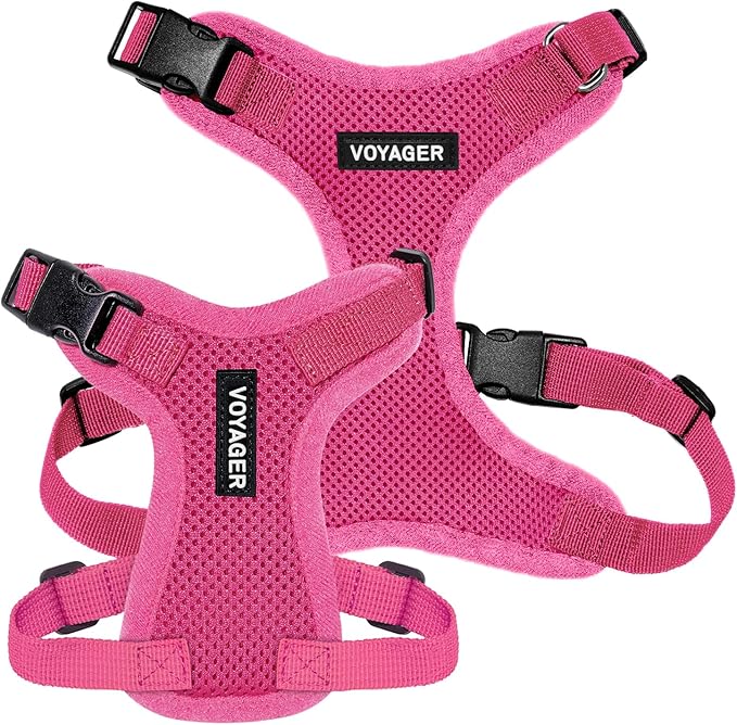 Voyager Step-in Lock Pet Harness - All Weather Mesh, Adjustable Step in Harness for Cats and Dogs by Best Pet Supplies - Fuchsia, M