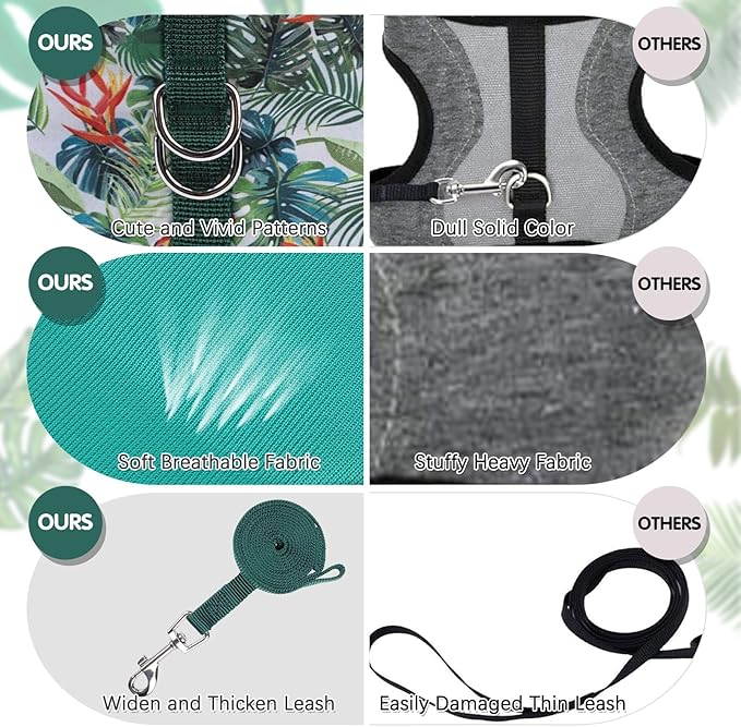 BINGPET Cat Harness and Leash Set Escape Proof for Walking,Step-in Harness with Lightweight Soft Breathable Mesh,Adjustable Easy Control Harness (Emerald Hues, M(Chest:10.5-13.5"))