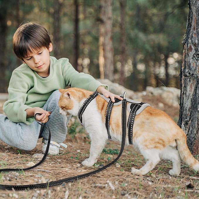 Cat Harness for Walking, Escape Proof Cat Harness and Leash Set with Reflective Strip, Adjustable Cat Leash Breathable Soft Vest for Small to Large Cats, BlackGrey, S