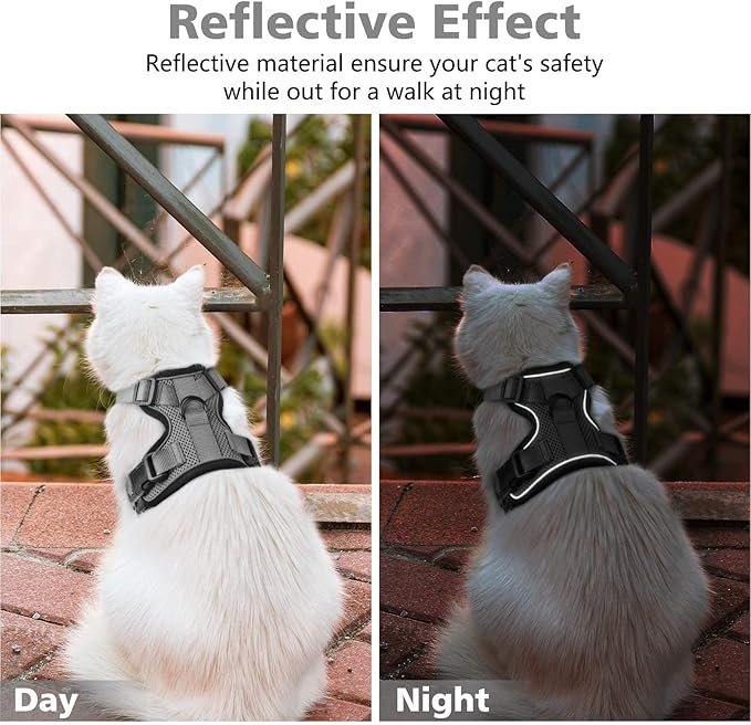 Dooradar Cat Harness and Leash Set, Escape Proof Safe Adjustable Kitten Vest Harnesses for Walking, Easy Control Soft Breathable Mesh Jacket with Reflective Strips for Cats, Grey, XS