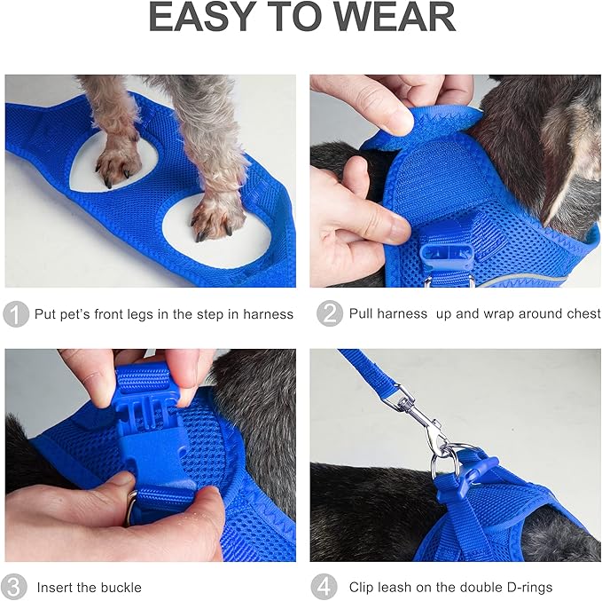 PetiFine Step in Small Dog Harness and Leash Set, Breathable All Weather Air Mesh Reflective Escape Proof, Step-in Vest Harnesses for Puppy(S, Baby Blue)