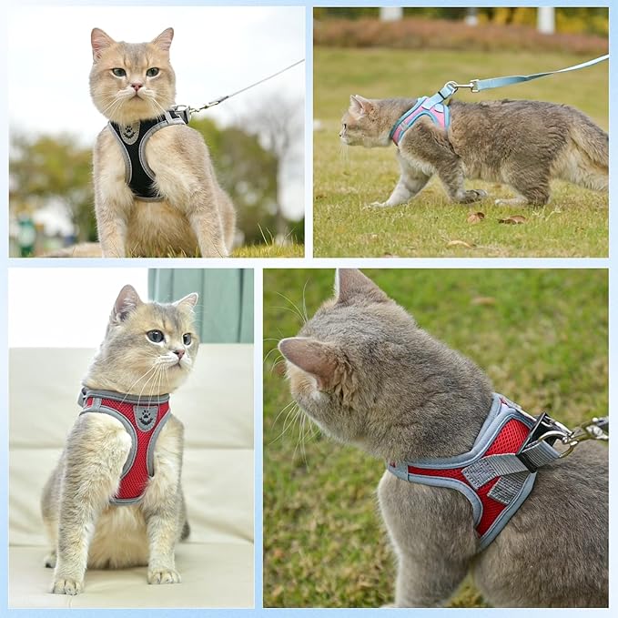 SCENEREAL Cat Harness and Leash Set Escape Proof, Adjustable Soft Air Mesh Kitten Harnesses for Girls Boys Small Medium Big Cats, Reflective Light Travel Pet Walking Vest for Puppy Rabbit, Red M