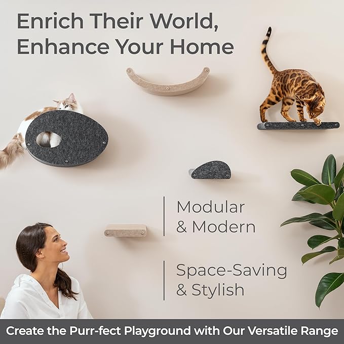 Cat Wall Bed by Pryde Pets, Perch and Cat Shelf for Wall - 100% PET Felt, Sustainable - Modular Floating Shelf for Cats, Indoor/Outdoor Cat Furniture (Oatmeal)