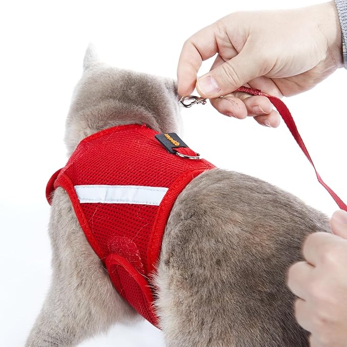Kitten Harness and Leash Set with Reflective Strip, Cat Harness and Leash Set Escape Proof, Adjustable, Travel, Cat Vest