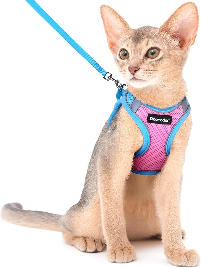 Dooradar Cat Harness and Leash Set, Escape Proof Lightweight Kitten Harness, Soft Breathable Reflective Vest for Outdoor Walking Traveling, Adjustable for Medium Cats, Pink & Blue, M