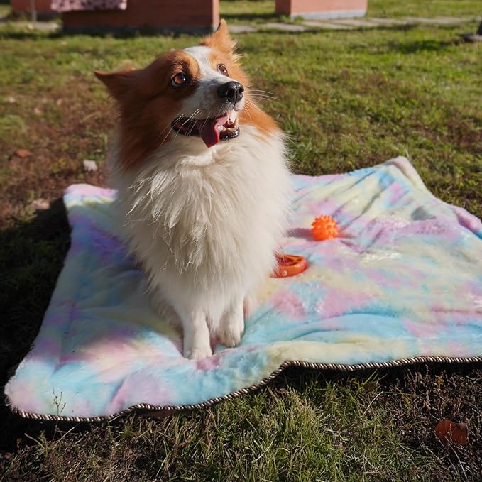 Self Warming Cat Bed, Super Soft Thermal Dog Crate Bed Mat for Sleeping, Washable Anti-Slip Self Heating Pet Kennel Pad for Small Medium Cats Dogs Indoor Outdoor (Color, XXL)