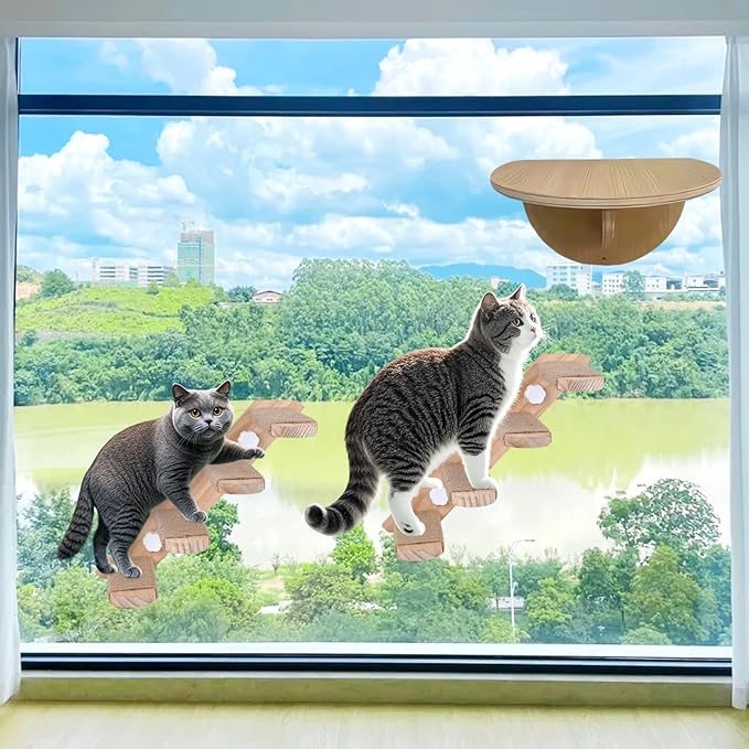 Cat Window Steps, Cat Window Ladder with 8 Steps, Cat Window Shelf for Cat Window Crawling, Indoor Cat Stairs for Window Pack of 2