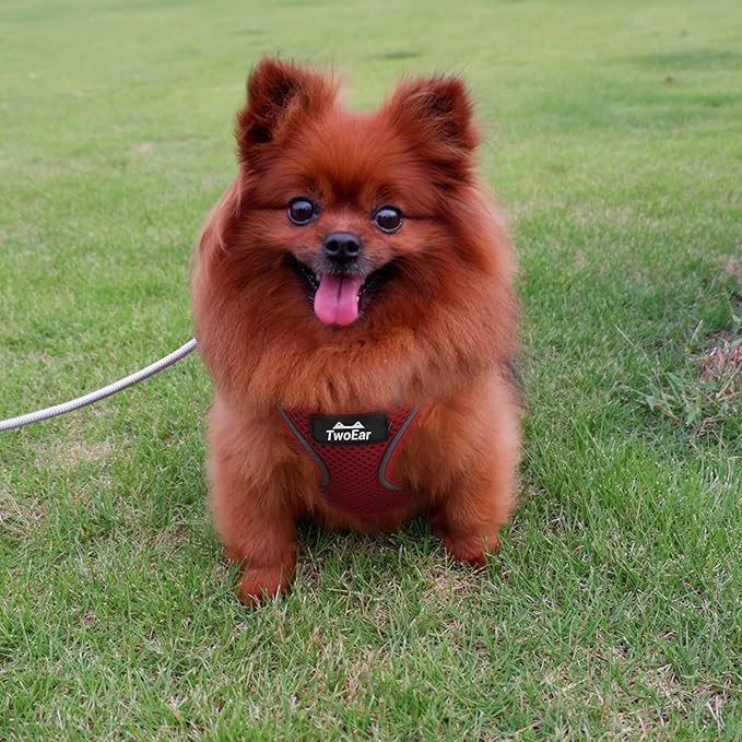TwoEar Dog Vest Harness Reflective, No-Pull Pet Harness Easy Control with Breathable Mesh, Soft Puppy Step-in Harness No-Choke for Outdoor Walking, Training for Small Dogs, Cats(XS, Red)