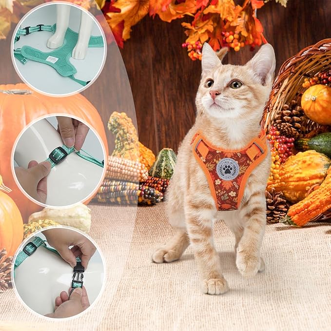 BEAUTYZOO Cat Harness and Leash Set for Walking Escape Proof, Neck Release Adjustable Harness for Kitten Puppy Small Medium Large Cats, Soft Cute Easy Control Small Cat Harness for Cats Boy and Girls