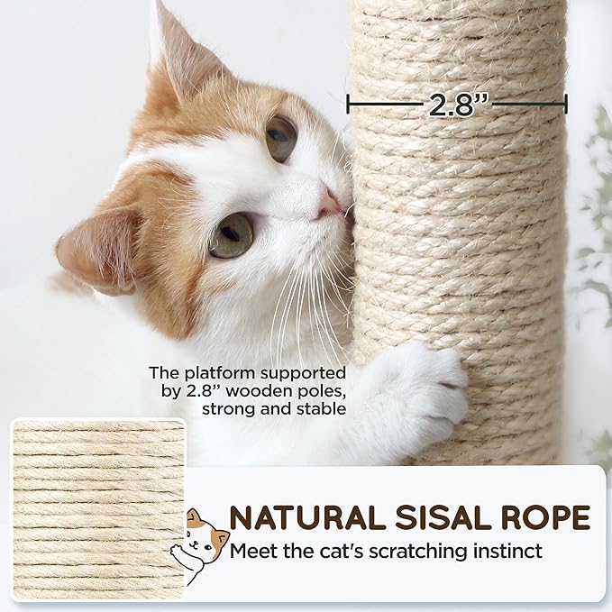 Yaheetech Cat Tree, 63 Inches Multi-Level Indoor Cat Play Structure with Scratching Posts, Hammock, and Dangling Ball