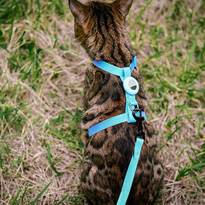 Cat Harness and Leash Set Escape Proof for Walking, Adjustable Cute Kitten Harness Leash with Airtag Holder for Small Large Cats, Lightweight Soft Walking Travel Harness (Blue)