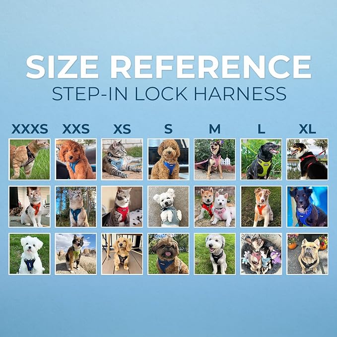 Voyager Step-in Lock Dog Harness w Reflective Dog Leash Combo Set with Neoprene Handle 5ft - Supports Small, Medium and Large Breed Puppies/Cats by Best Pet Supplies - Army/Black Trim, L