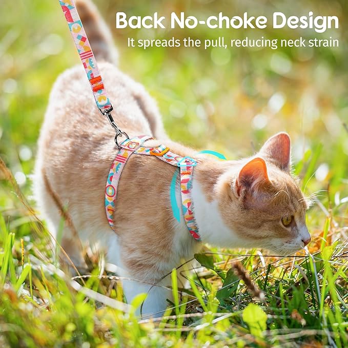 Dooradar Cat Harness and Leash, Escape Proof Adjustable Kitten Vest, Lightweight Soft Pet Straps, Easy Wearing for Small Medium Kitty Safe Walking Travel Control, Rainbow, M