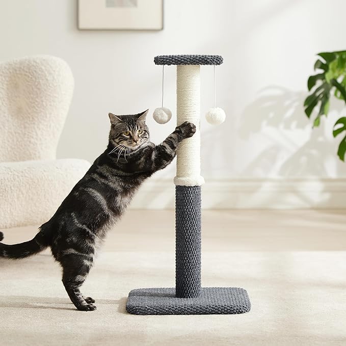 Lesure 29" Tall Cat Scratching Post - Premium Sisal Rope Highly Resistant Carpet Scratching Posts for Indoor Cats Adults, Sturdy Large Cat Scratch Pole with Hanging Ball, Grey(29 inch)