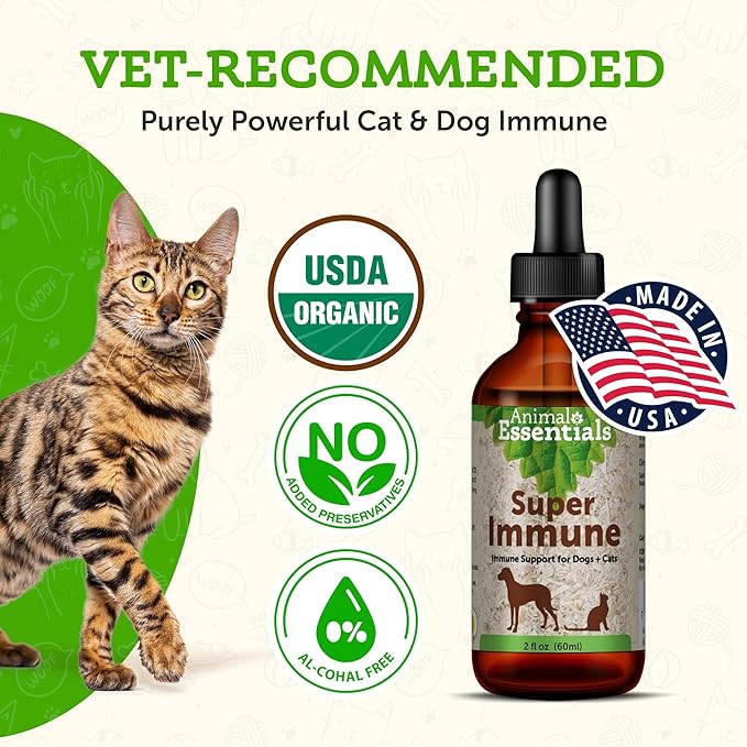 Animal Essentials Super Immune for Dogs & Cats - Immunity Support Supplement, Echinacea, Eleuthero, Olive Leaf Extract, Liquid Drops - 2 Fl Oz