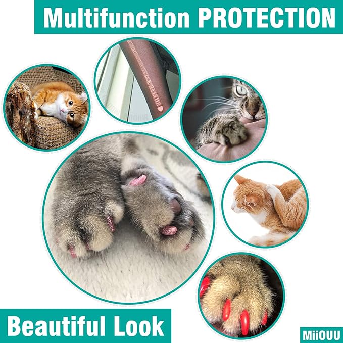 10x Colors / 100 pcs Cat Nail Caps | Cat Claw Covers with Adhesives and Applicators | Beta (XS)