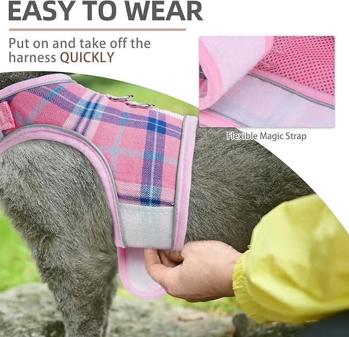 PUPTECK Soft Mesh Cat Vest Harness and Leash Set Puppy Padded Pet Harnesses Escape Proof for Cats Small Dogs Rabbits Bunny, Plaid Pink, XL