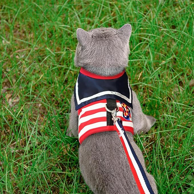 PUPTECK Soft Mesh Cat Vest Harness and Leash Set Puppy Padded Pet Harnesses Escape Proof for Cats Small Dogs Rabbits Bunny, Navy Red, XL