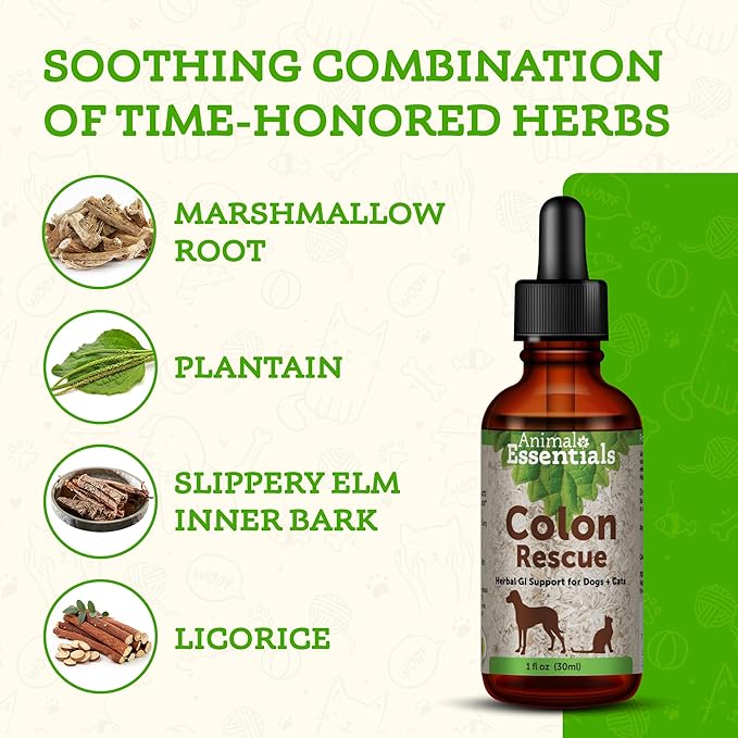 Animal Essentials Colon Rescue for Dogs & Cats - Constipation Relief, Stool Softener with Slippery Elm, Marshmallow Root, Licorice Root - 1 Fl Oz