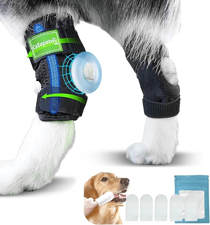 2PCS Dog Braces for Back Leg for Support. Dog Arthritis Brace. Hind Leg Support for Dogs. Leg Brace for Dogs Back Leg. Dog Leg Brace. Dog Back Leg Support Brace. Dog Hock Brace Rear Leg (M)