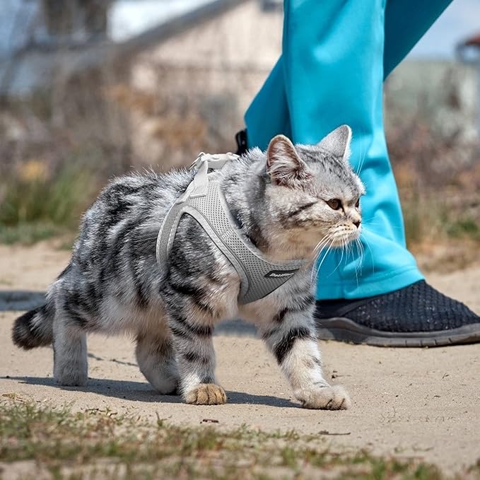 PetiFine Extra Small Step in Dog Harness and Leash Set, Cat Harness and Leash Escape Proof, All Weather Mesh Reflective, Step-in Air Vest Harnesses for Puppy(XXS, Grey)