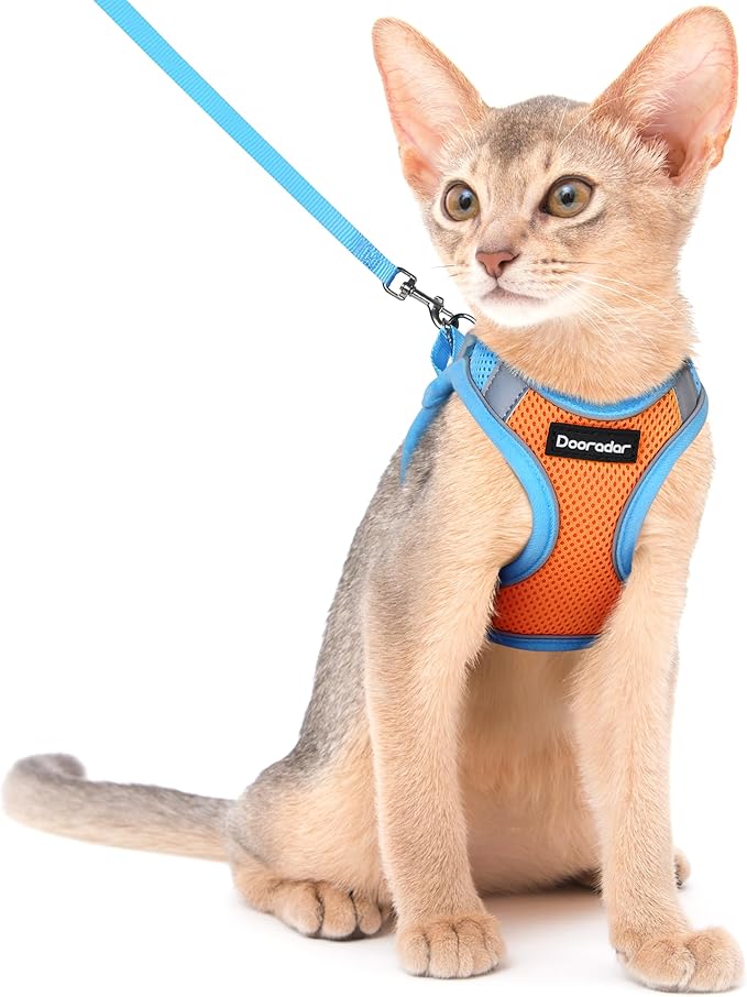 Dooradar Cat Harness and Leash Set, Escape Proof Lightweight Kitten Harness, Soft Breathable Reflective Vest for Outdoor Walking Traveling, Adjustable for Medium Cats, Orange & Blue, M