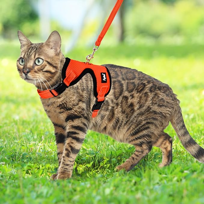 PUPTECK Cat Harness and Leash Set Escape Proof, Reflective Adjustable Soft Mesh Kitten Vest Harness for Walking Travel, Orange, S