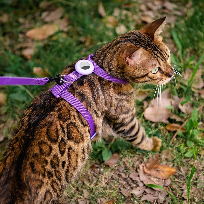 Cat Harness and Leash Set Escape Proof for Walking, Adjustable Cute Kitten Harness Leash with Airtag Holder for Small Large Cats, Lightweight Soft Walking Travel Harness (Purple)