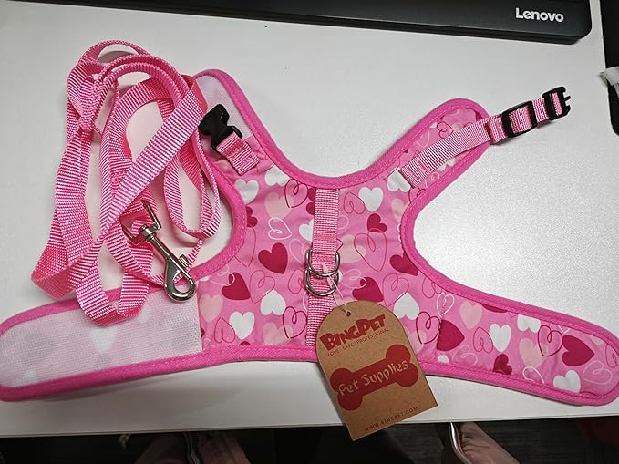 BINGPET Cat Harness and Leash Set Escape Proof for Walking,Step-in Harness with Lightweight Soft Breathable Mesh,Adjustable Easy Control Harness for Kitten Puppy Small Medium Large Cats(Heart,M)