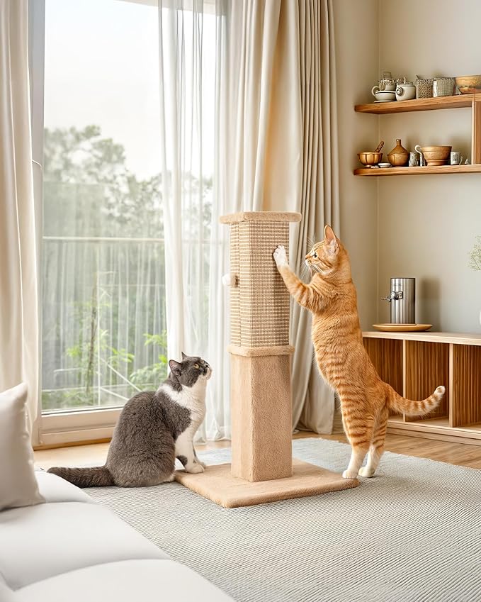 Aplatho Tall Cat Scratching Post for Indoor Cats Adults, Sturdy Cat Scratcher for Large Cats, Heavy Duty Cat Scratch Pole with Hanging Balls