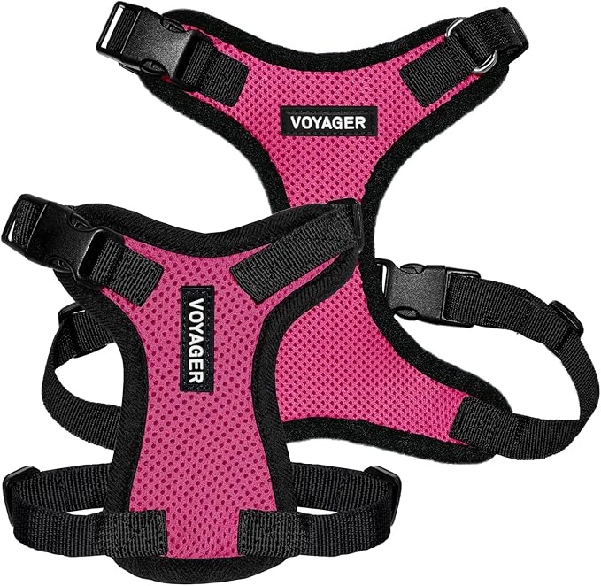 Voyager Step-in Lock Pet Harness - All Weather Mesh, Adjustable Step in Harness for Cats and Dogs by Best Pet Supplies - Fuchsia/Black Trim, S