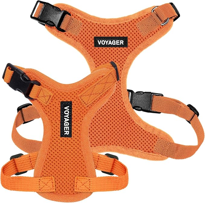 Voyager Step-in Lock Pet Harness - All Weather Mesh, Adjustable Step in Harness for Cats and Dogs by Best Pet Supplies - Orange, M