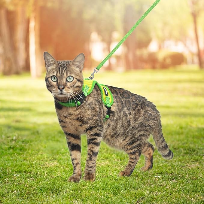 PUPTECK Cat Harness and Leash Set Escape Proof, Reflective Adjustable Soft Mesh Kitten Vest Harness for Walking Travel, Green, M