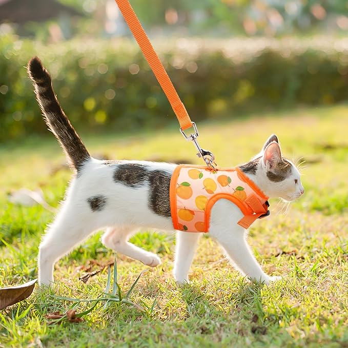 BINGPET Cat Harness with Leash Escape Proof - Fashionable Mesh Cat Dog Walking Harness Leads, Adjustable for Kitties Puppies Small Animals, Large