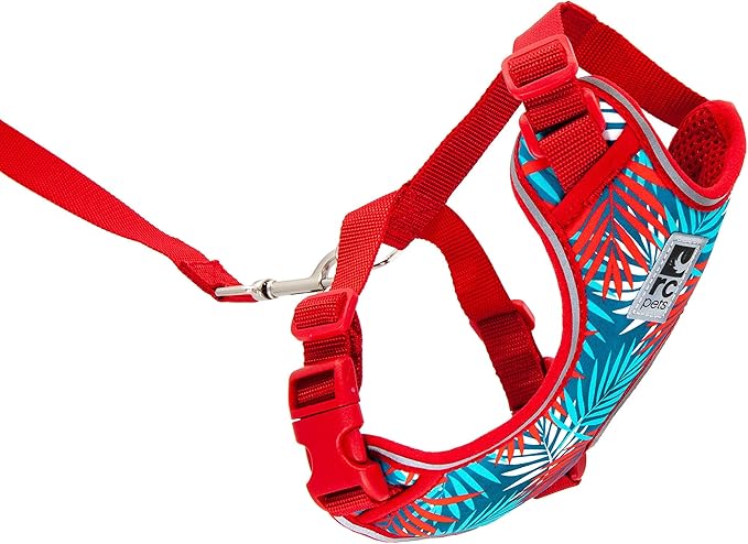 RC Pets Adventure Kitty Harness Includes Adjustable, Airmesh Fabric, 6' Leash and D-Ring Cat Walking Harness | Maldives, Medium