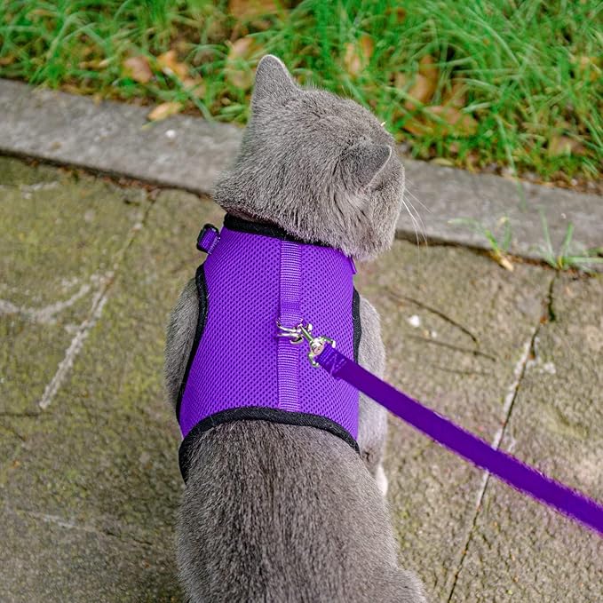 PUPTECK Soft Mesh Cat Vest Harness and Leash Set Puppy Padded Pet Harnesses Escape Proof for Cats Small Dogs, Purple Small