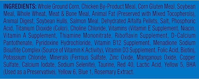 9Lives Indoor Complete Dry Cat Food, 20 lb. Bag