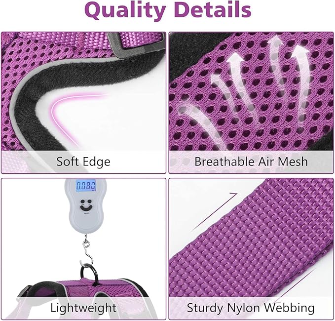 Dooradar Cat Harness and Leash Set, Escape Proof Safe Adjustable Kitten Vest Harnesses for Walking, Easy Control Soft Breathable Mesh Jacket with Reflective Strips for Cats, Purple, XXS