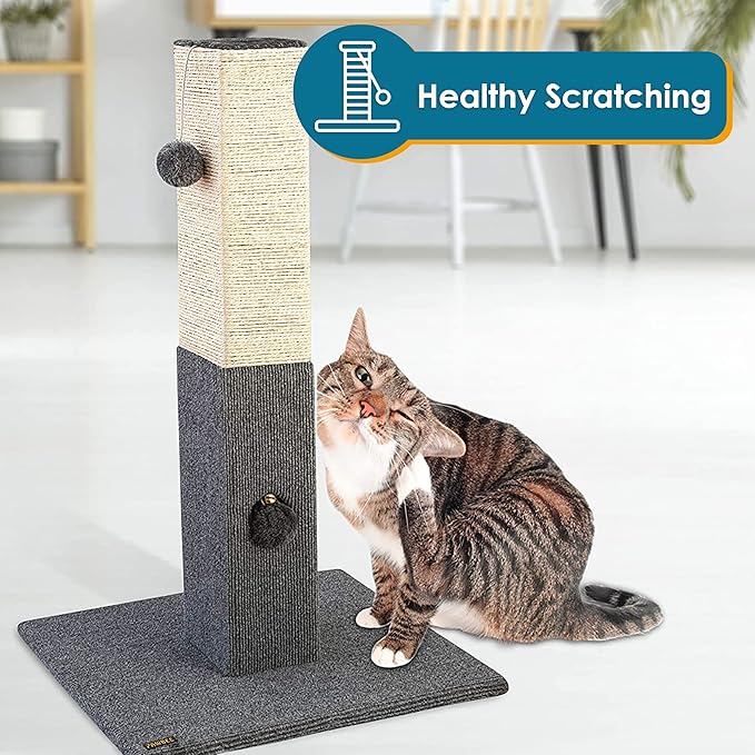 PAWBEE 32" Cat Scratching Post - Tall Cat Scratching Posts for Indoor Cats - Sisal Rope Cat Scratchers - Cat Scratch Post for Small & Large Cats - Cat Post Tower with Jingle Bell Toy - Cat Scratcher