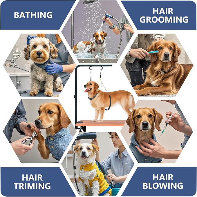 31" Dog Grooming Arm with Clamp – Adjustable Dog Grooming Table Arm Customizable Height for Small & Medium Dogs, with Grooming Loop Noose & Two No-Sit Haunch Holder Restraint, Black