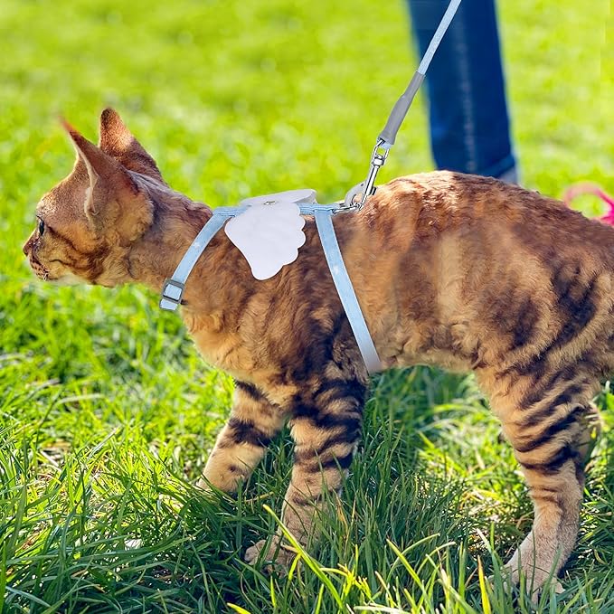 TIESOME Cat Harness and Leash Set, Adjustable Gradient Kitten Harness Escape Proof Harness with Leash for Kitty Outdoor Walking (Sky Blue)