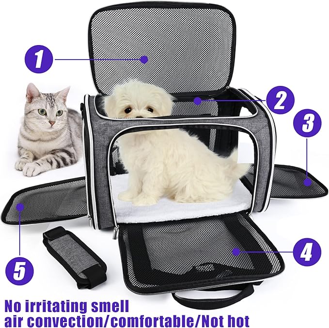 BAGLHER Pet Travel Carrier, Cat Carriers Dog Carrier for Small Medium Cats Dogs Puppies, Airline Approved Small Dog Carrier Soft Sided, Collapsible Puppy Carrier. Grey