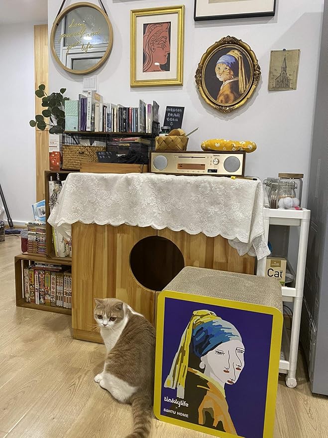 Cat Condo Scratcher Cardboard, Girl with a Pearl Earring Shape Adaptation Spoof Version Cat Scratching House Bed Furniture Protector, Pink